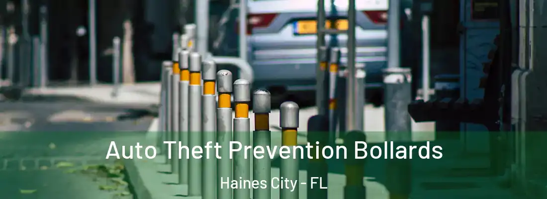  Auto Theft Prevention Bollards Haines City - FL
