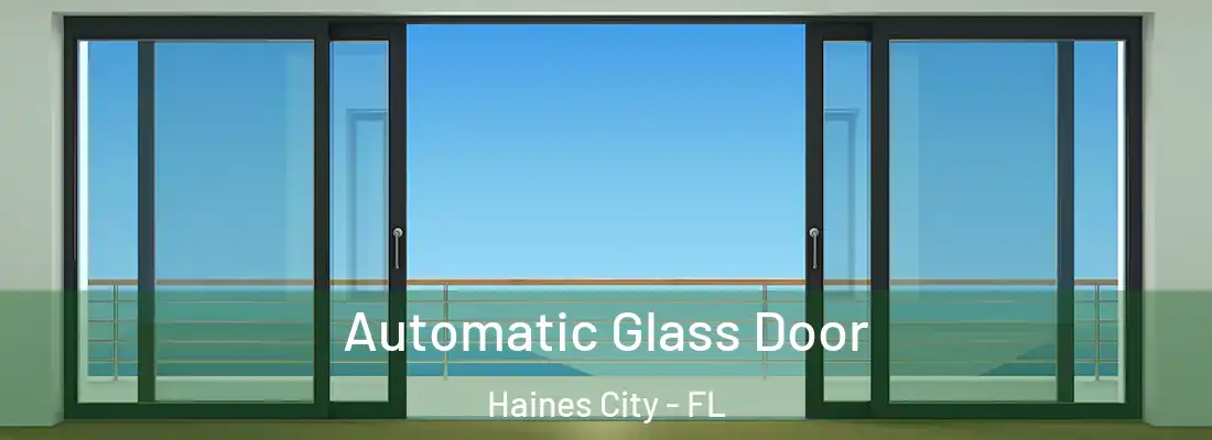  Automatic Glass Door Haines City - FL
