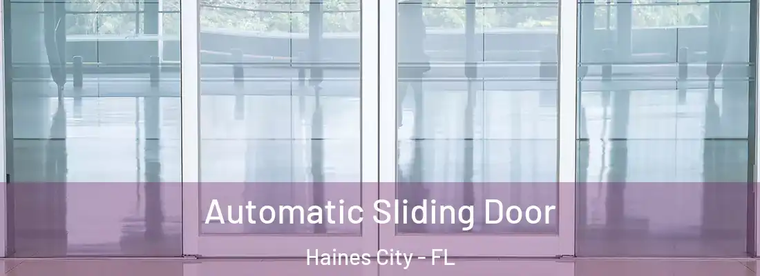 Automatic Sliding Door Haines City - FL