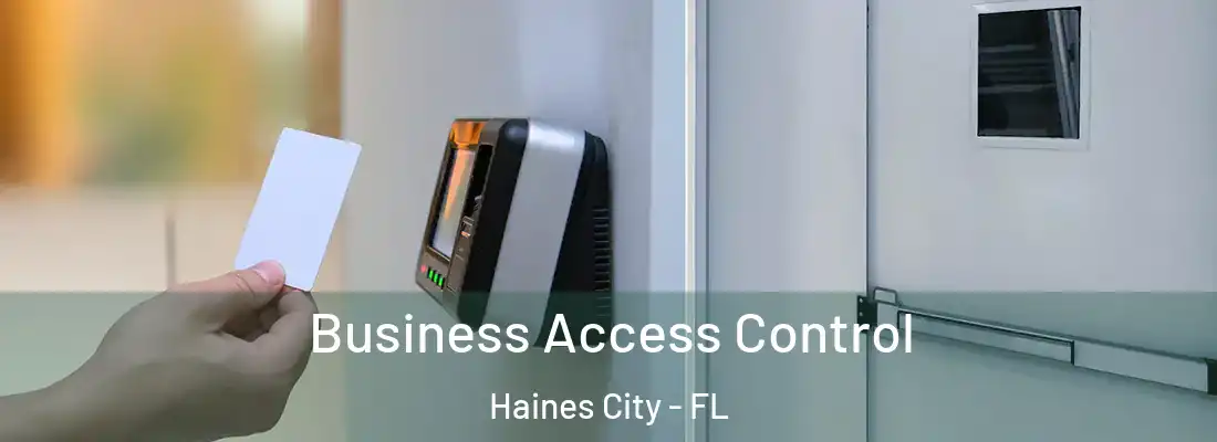 Business Access Control Haines City - FL