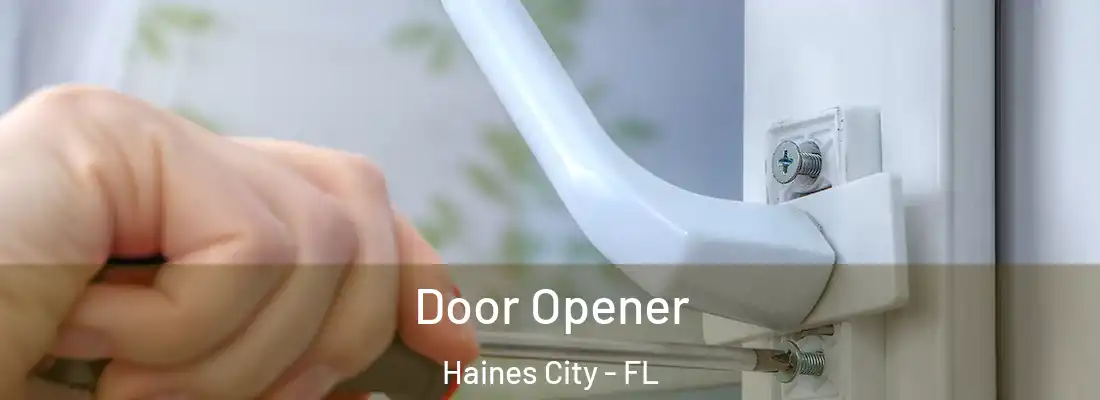  Door Opener Haines City - FL