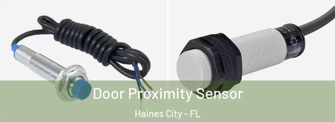 Door Proximity Sensor Haines City - FL