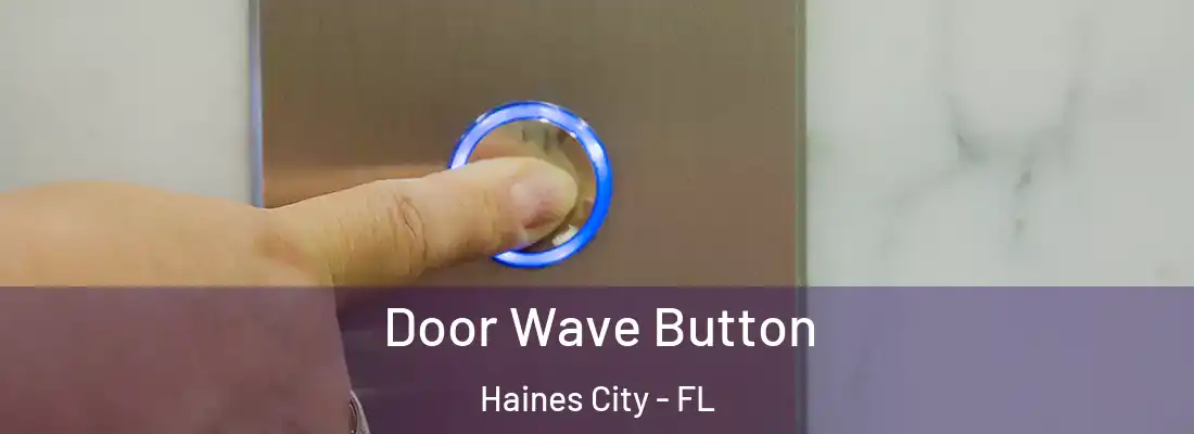  Door Wave Button Haines City - FL