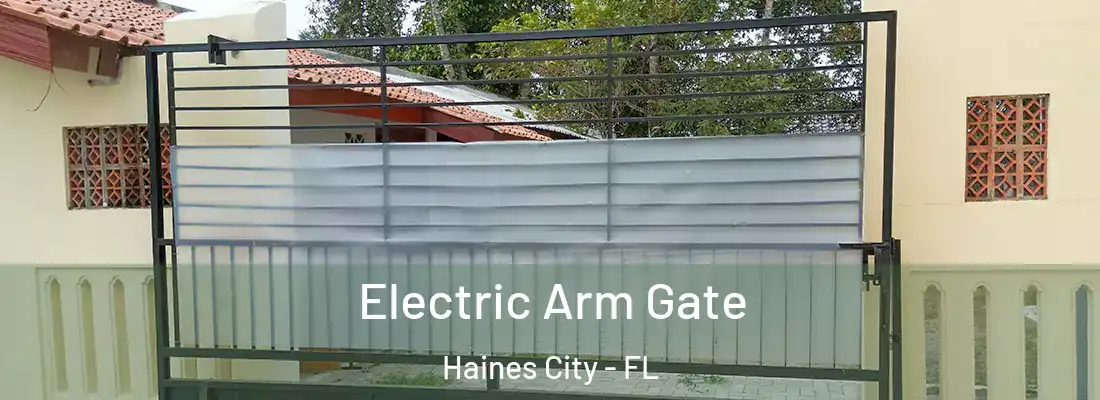 Electric Arm Gate Haines City - FL