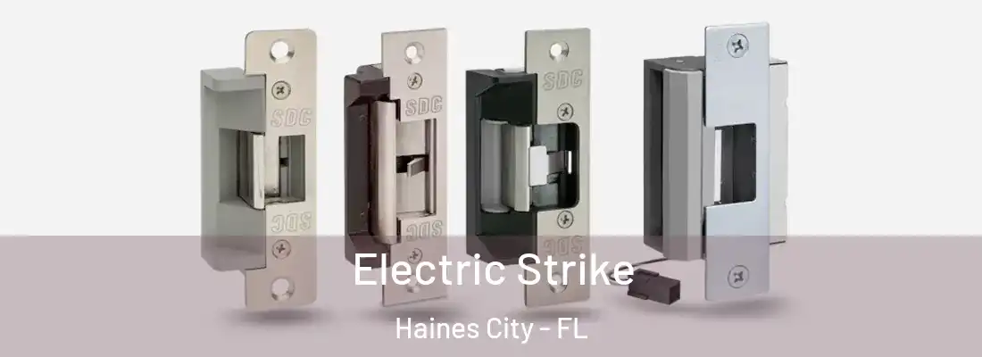  Electric Strike Haines City - FL