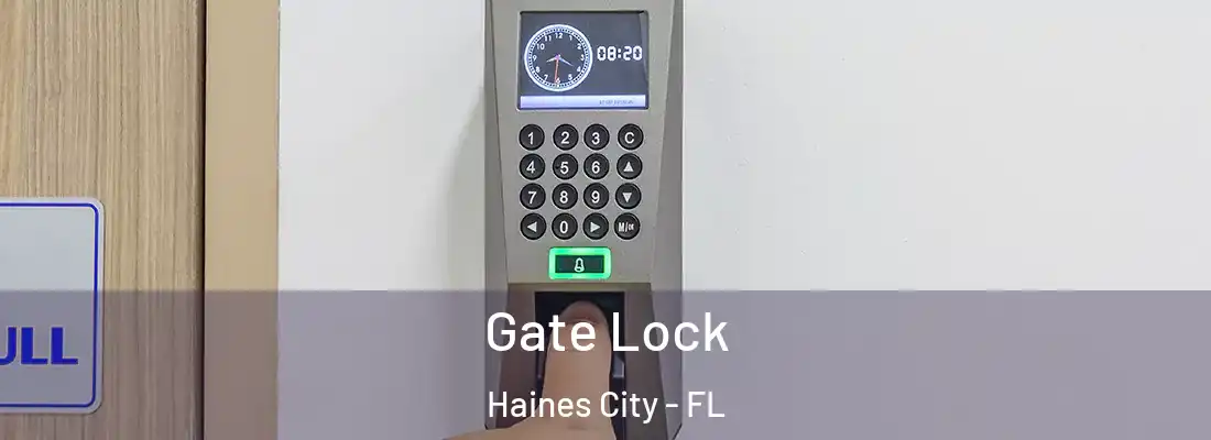 Gate Lock Haines City - FL