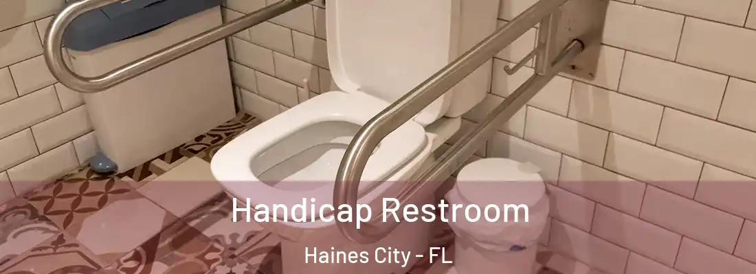  Handicap Restroom Haines City - FL