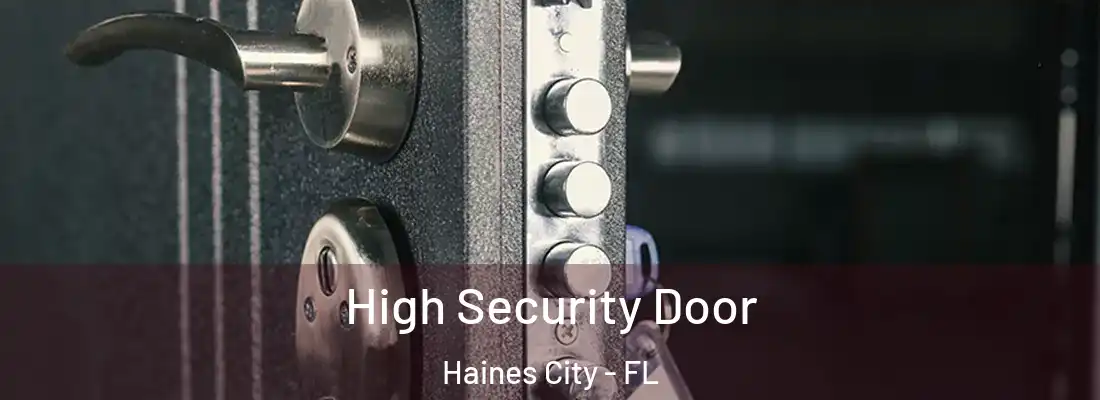  High Security Door Haines City - FL