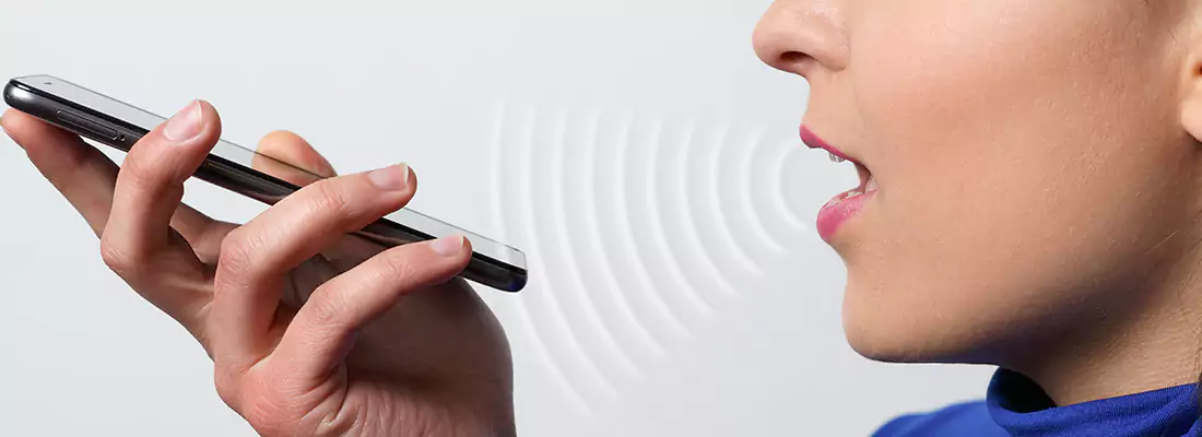 Residential and Commercial Voice Recognition Access Solutions in Haines City, FL