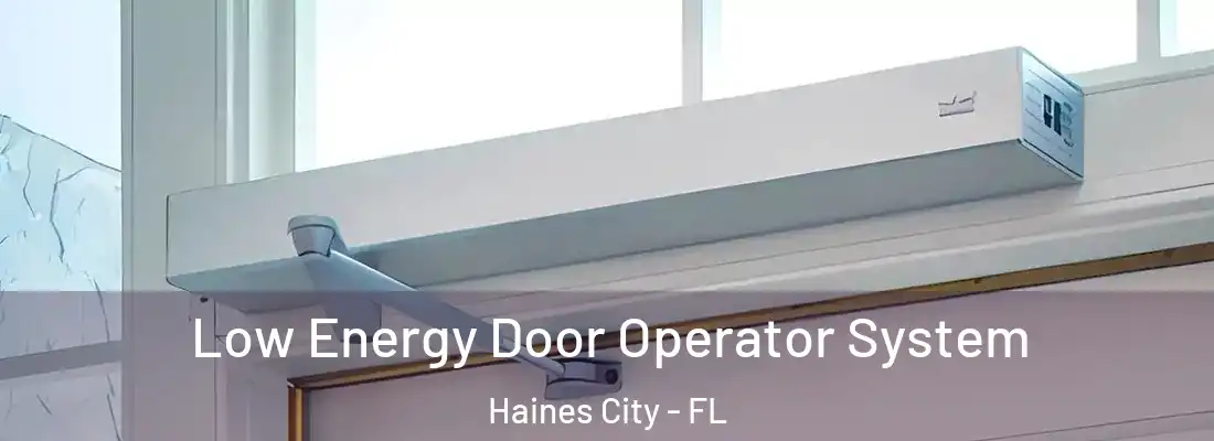 Low Energy Door Operator System Haines City - FL