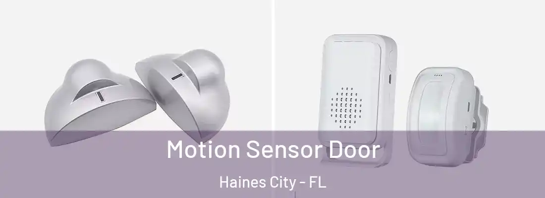 Motion Sensor Door Haines City - FL