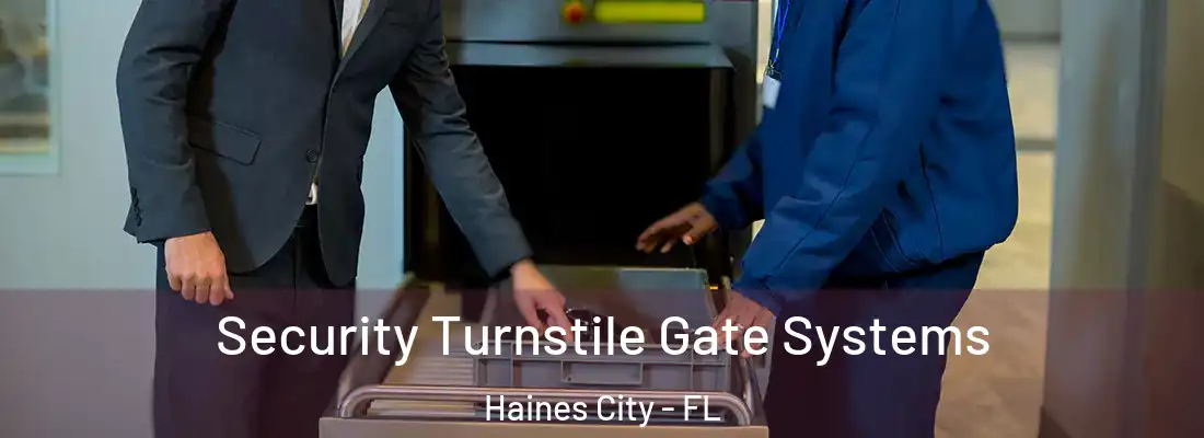  Security Turnstile Gate Systems Haines City - FL